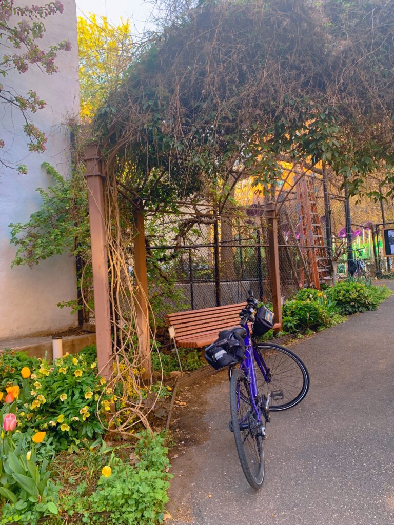 Archway with upper half completely covered in greenery. Wooden bench and dark blue mountain bike are placed towards the front with bushes and vines on the side. 