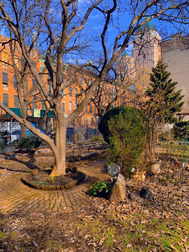Multiple trees placed in front of city scape background. There are also brown leaves scattered on the ground and fencing in the back. 
