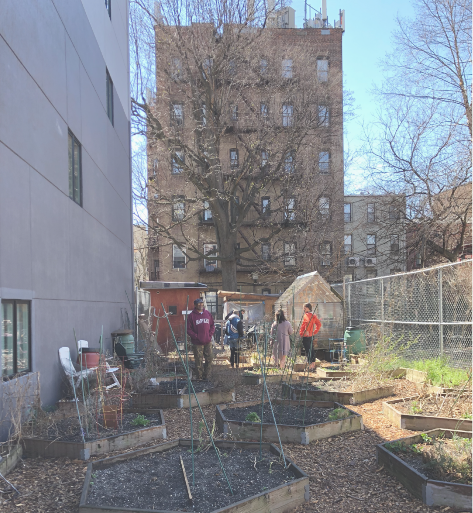 Multiple volunteers surrounding planting grounds at 100 Quincy Community Garden. Plants are enclosed in a hexagonal border and there is a greenhouse like structure situated towards the back. 
